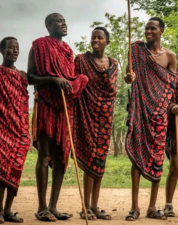 How Globalization Is Redefining the International Campus Experience in Kenya