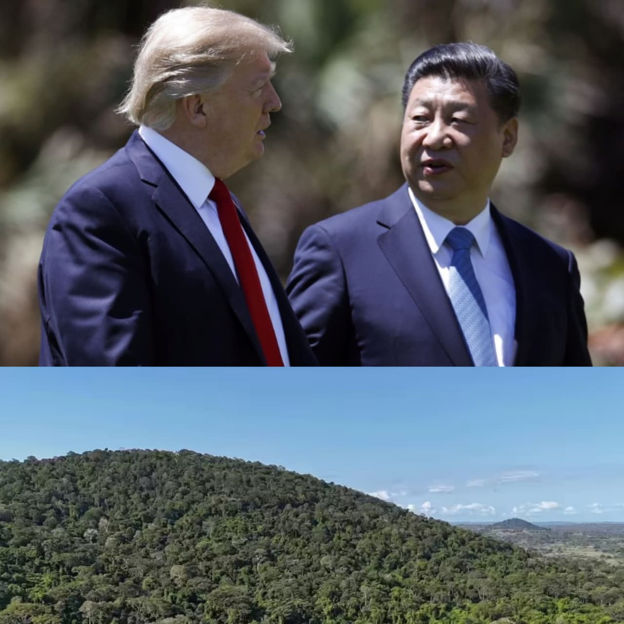Why China and the U.S. Are competing for Kenya’s Mrima Forest